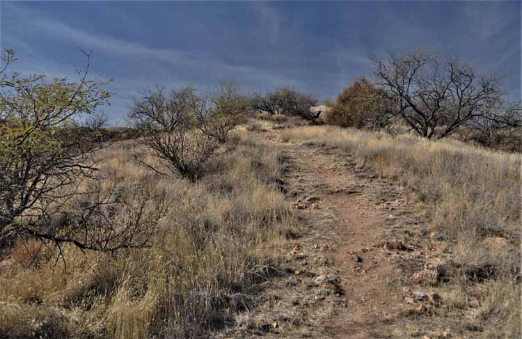 trail